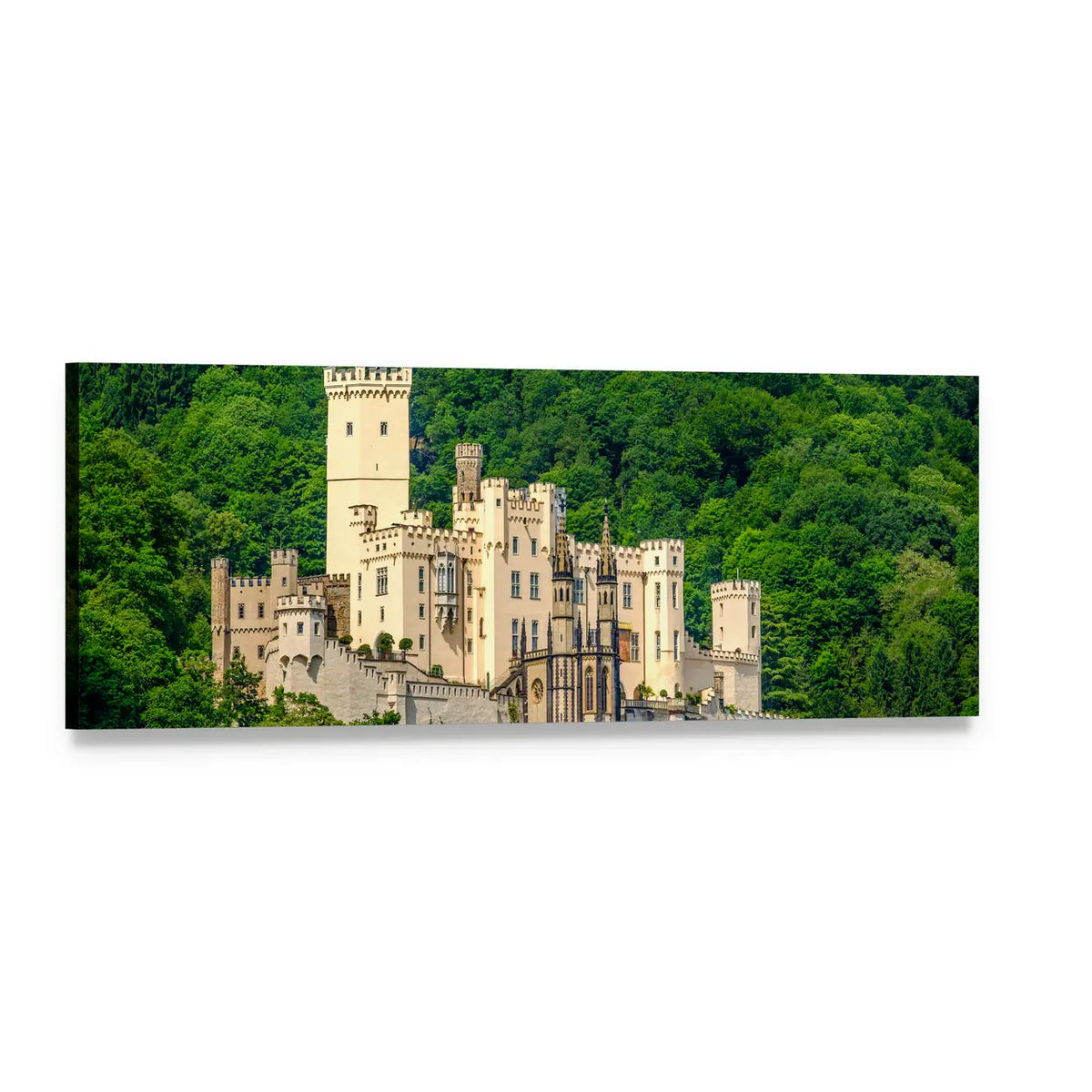 Stolzenfels Castle at Rhine Valley Panoramic Canvas Wall Art, single panel gallery wrapped canvas, angled product view