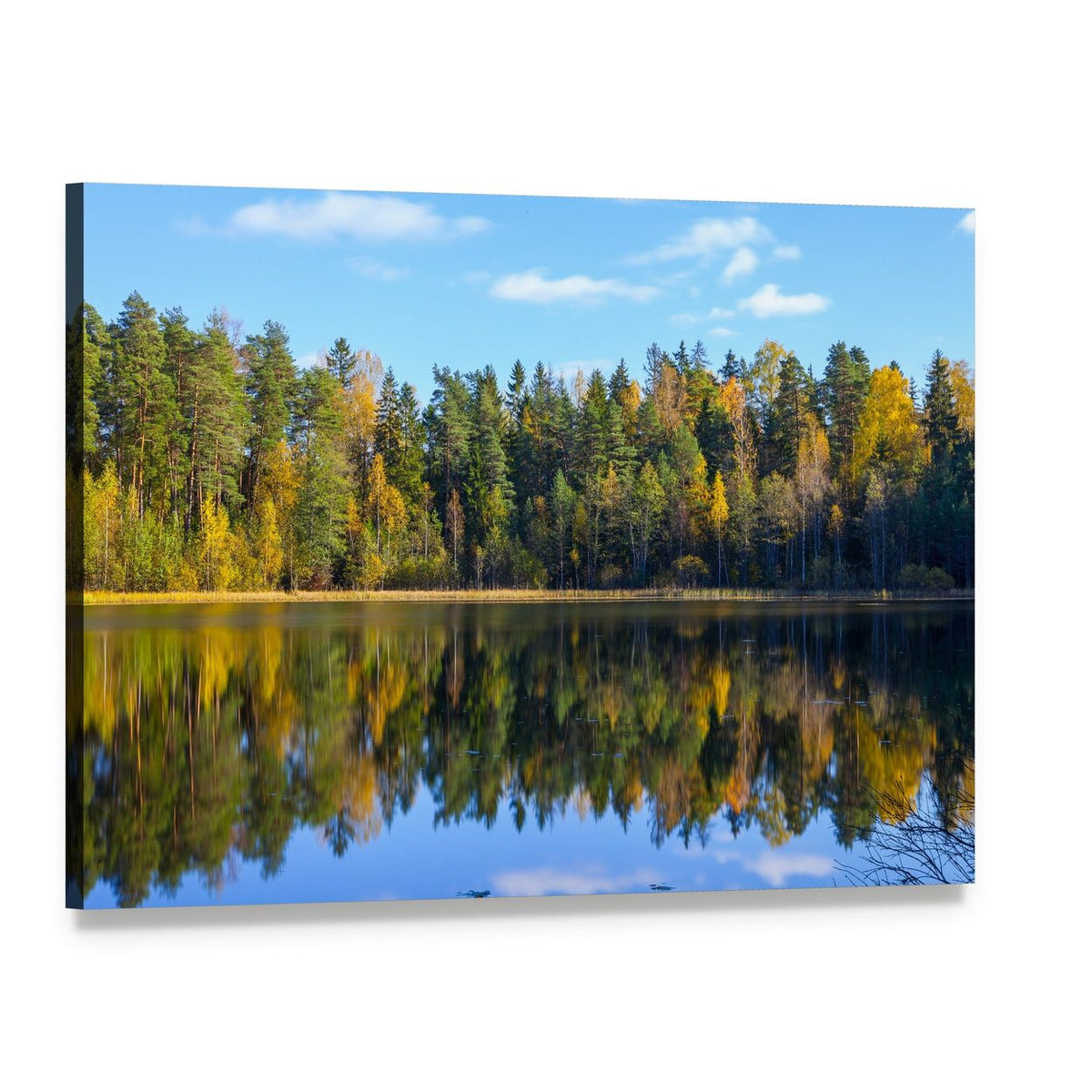 Autumn Forest Reflection in Pond Canvas Wall Art, single panel gallery wrapped canvas, angled product view