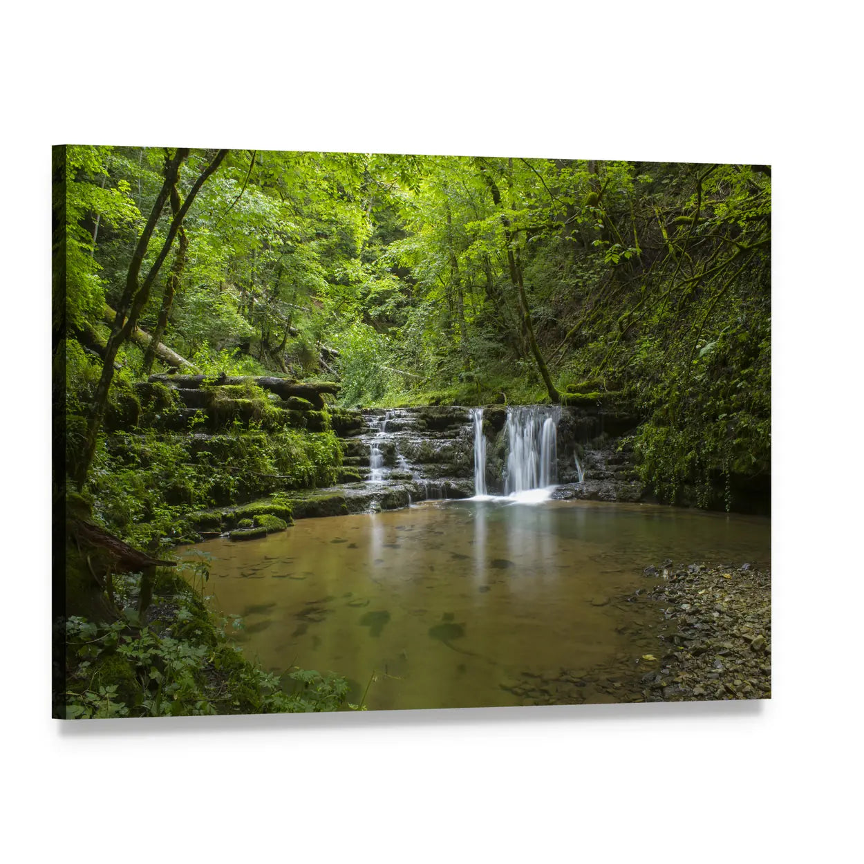 Black Forest Waterfall, Germany Canvas Wall Art, single panel gallery wrapped canvas, angled product view