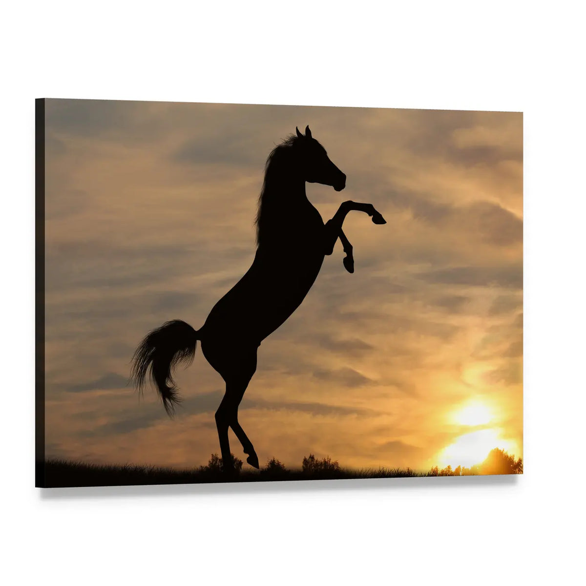 Rearing Horse Silhouette at Sunset Canvas Wall Art, single panel gallery wrapped canvas, angled product view