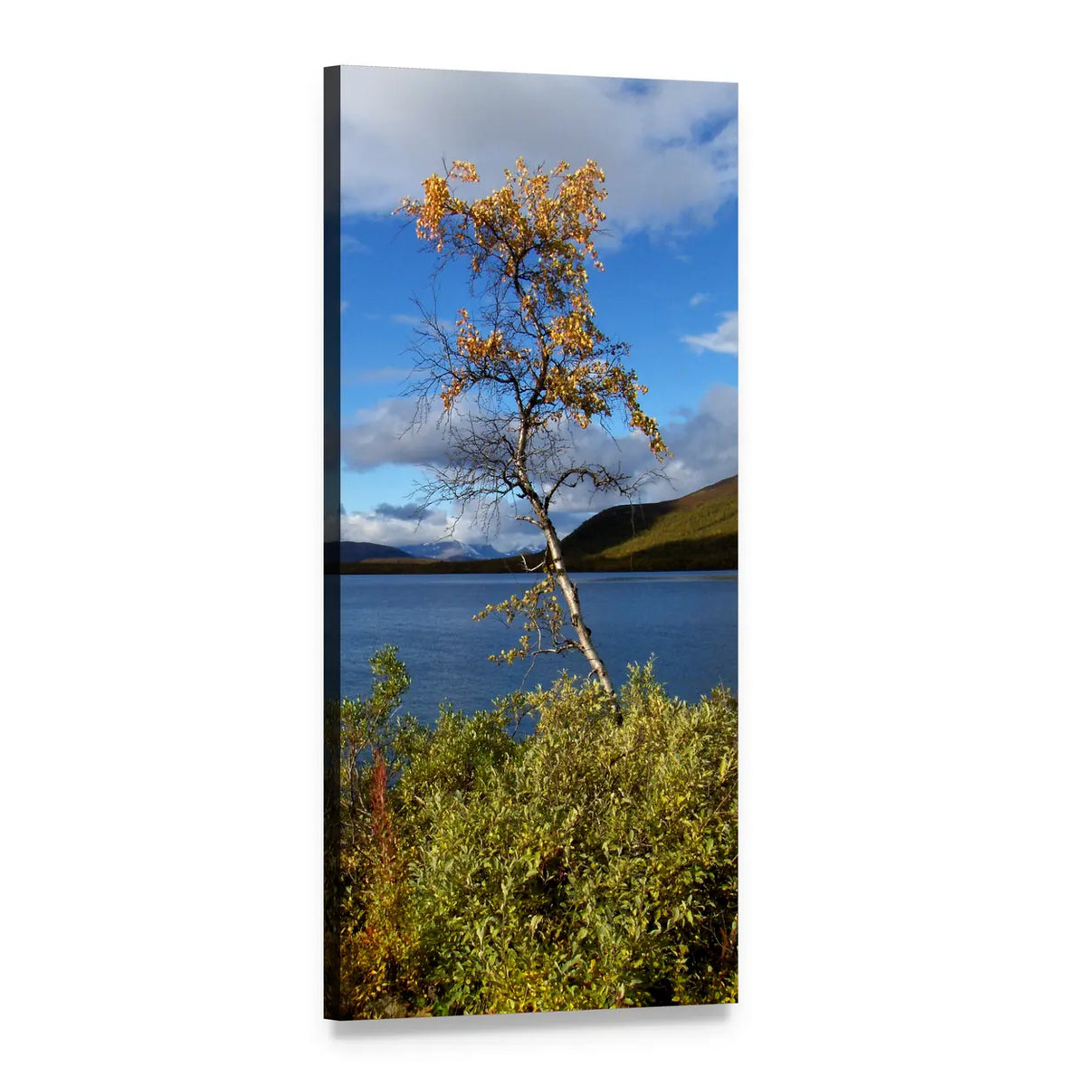Autumn Lake with Bare Tree Vertical Canvas Wall Art, 1 panel 1 Vertical layout gallery wrapped canvas set, angled product view