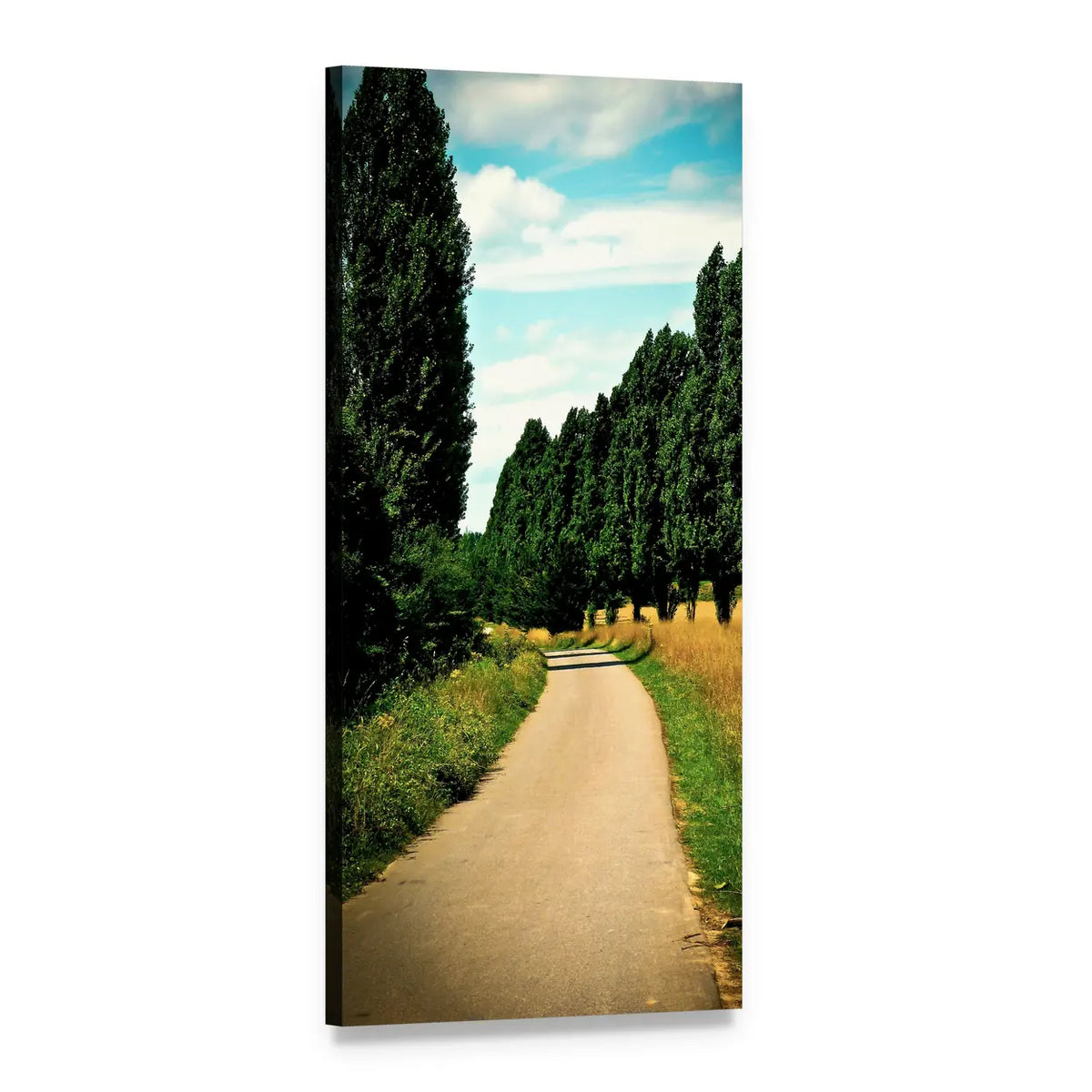 Summer Road Through Green Fields Vertical Canvas Wall Art, 1 panel 1 Vertical layout gallery wrapped canvas set, angled product view