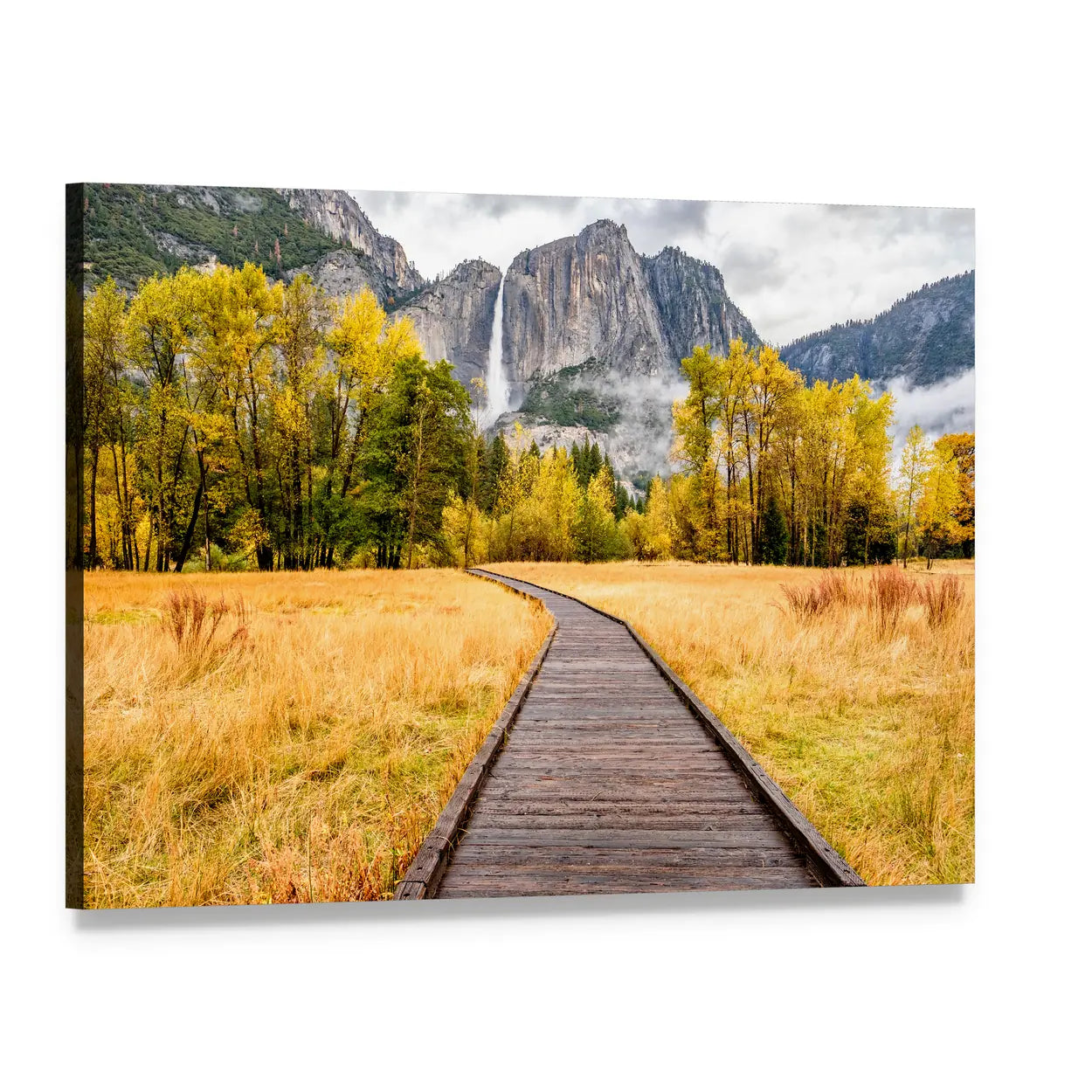 Boardwalk in Yosemite National Park Canvas Wall Art, single panel gallery wrapped canvas, angled product view