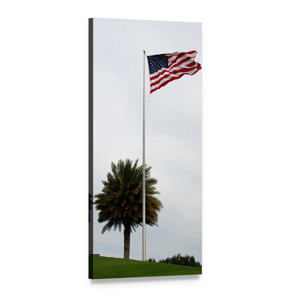 American Flag and Palm Tree Vertical Canvas Wall Art, 1 panel 1 Vertical layout gallery wrapped canvas set, angled product view