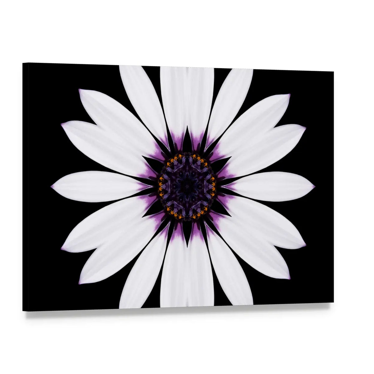 White Flower Mandala Canvas Wall Art0, single panel gallery wrapped canvas, angled product view