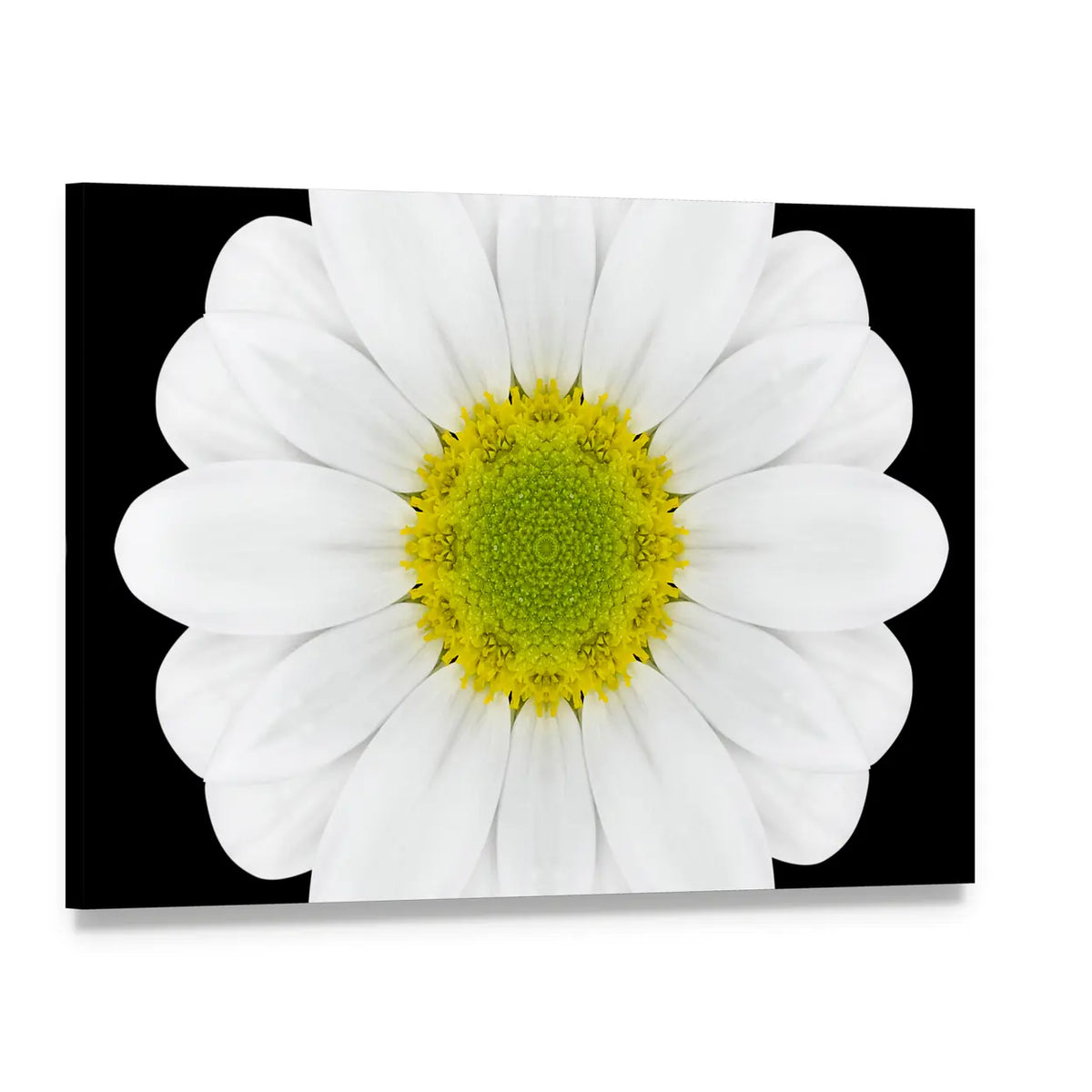Close Up Of White Flower Mandala Canvas Wall Art, single panel gallery wrapped canvas, angled product view