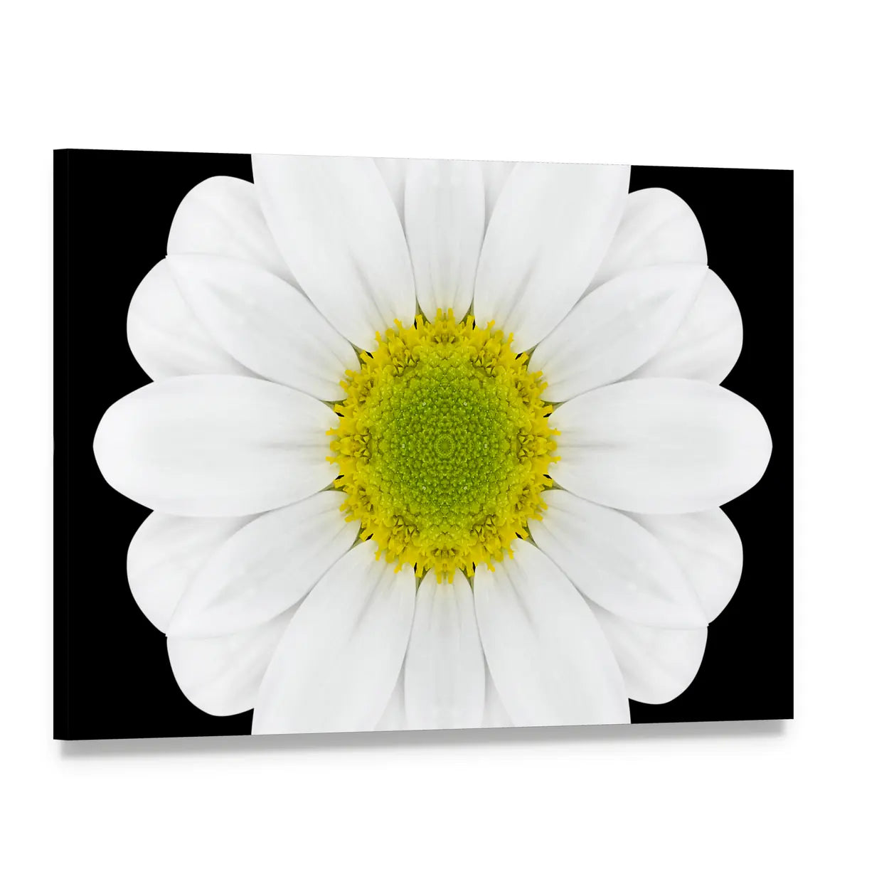 Close Up Of White Flower Mandala Canvas Wall Art, single panel gallery wrapped canvas, angled product view