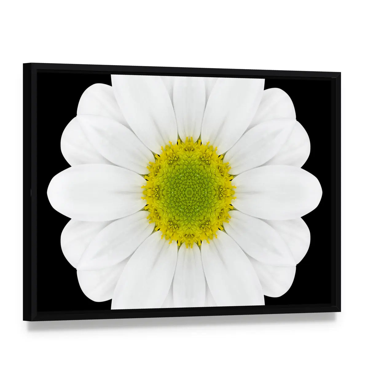 Close Up Of White Flower Mandala Canvas Wall Art, framed canvas in a black floater frame, angled product view