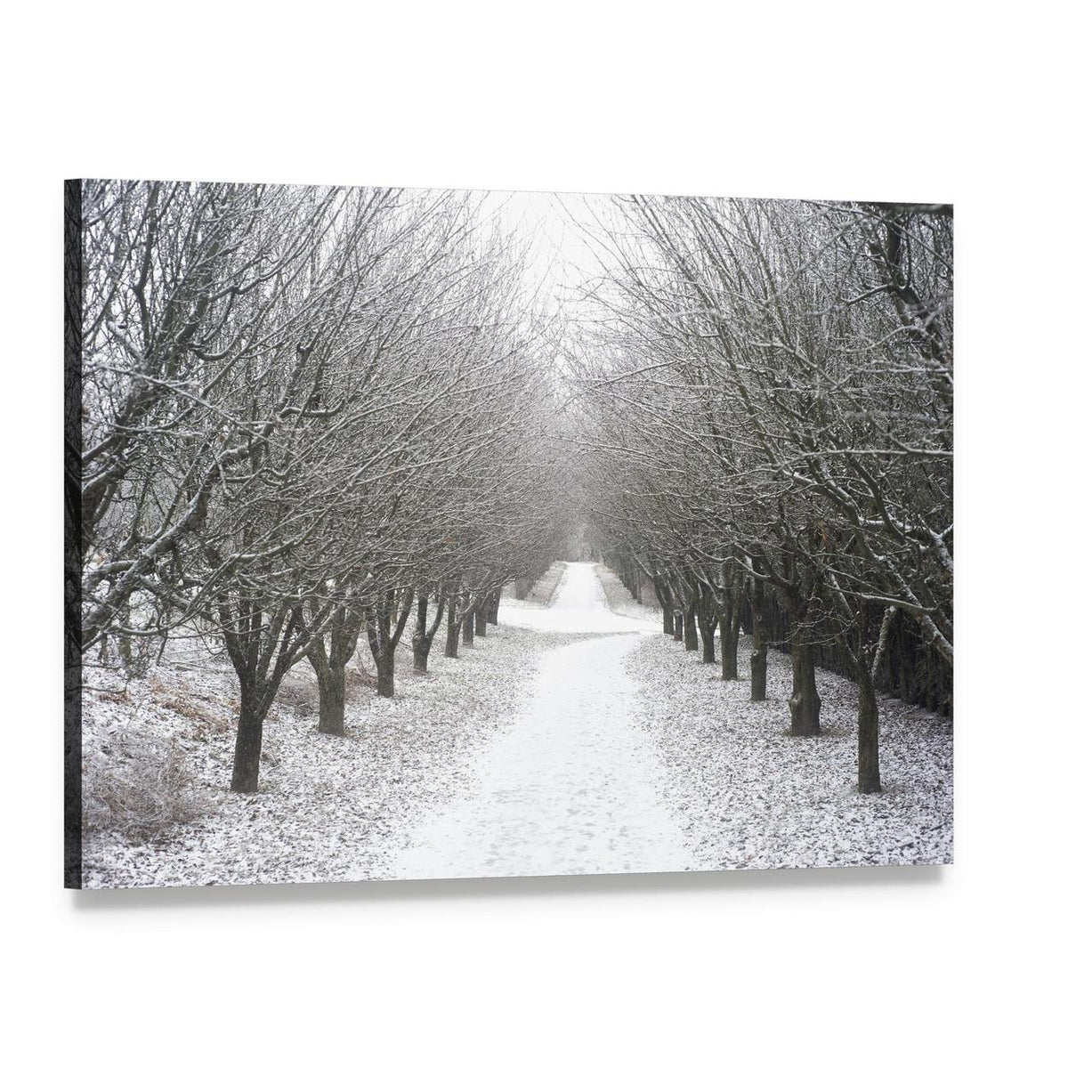 Snowy Park Path in Winter Canvas Wall Art, single panel gallery wrapped canvas, angled product view