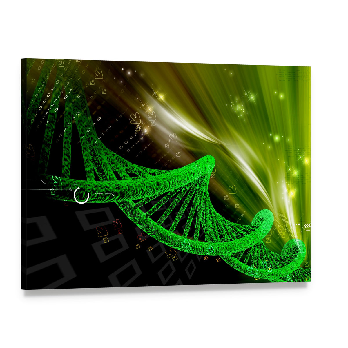 Glowing Green Dna Helix with Binary Code Canvas Wall Art, single panel gallery wrapped canvas, angled product view