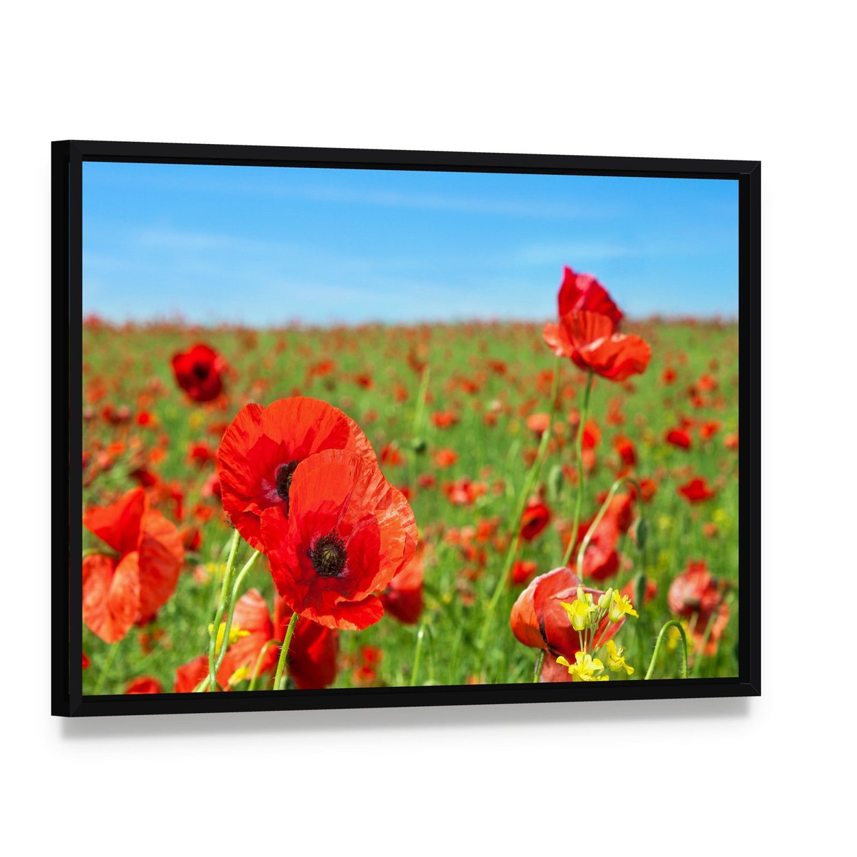 Summer Landscape Wild Poppy Flowers Field Canvas Wall Art, framed canvas in a black floater frame, angled product view