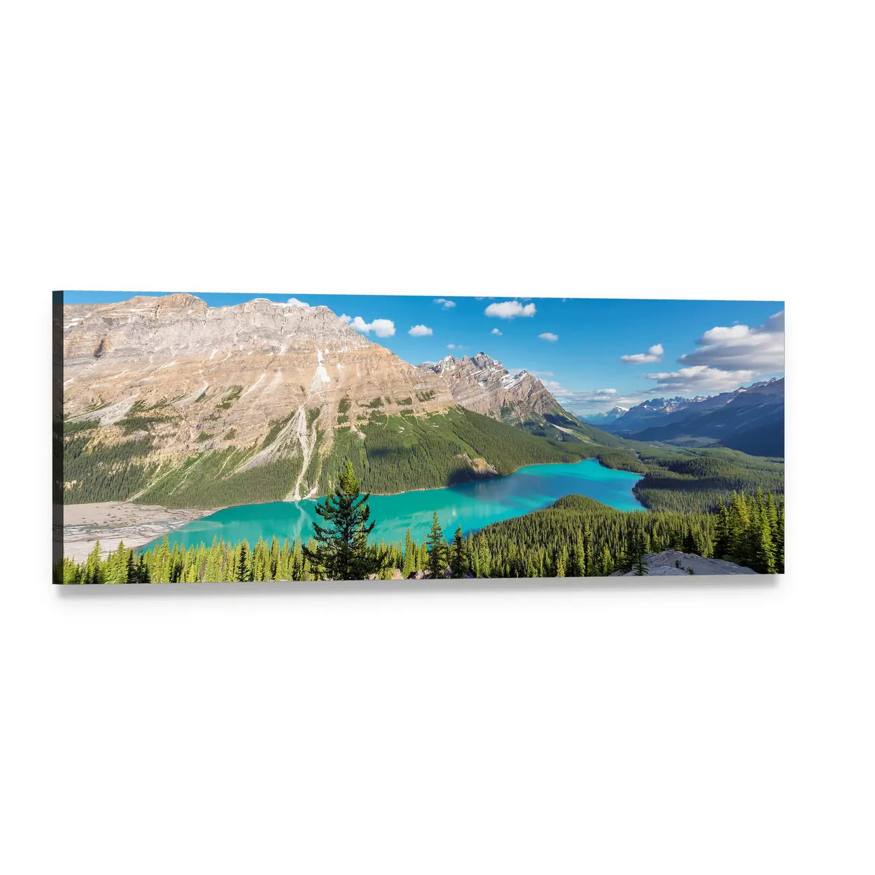 Peyto Lake, Banff National Park Panoramic Canvas Wall Art, single panel gallery wrapped canvas, angled product view