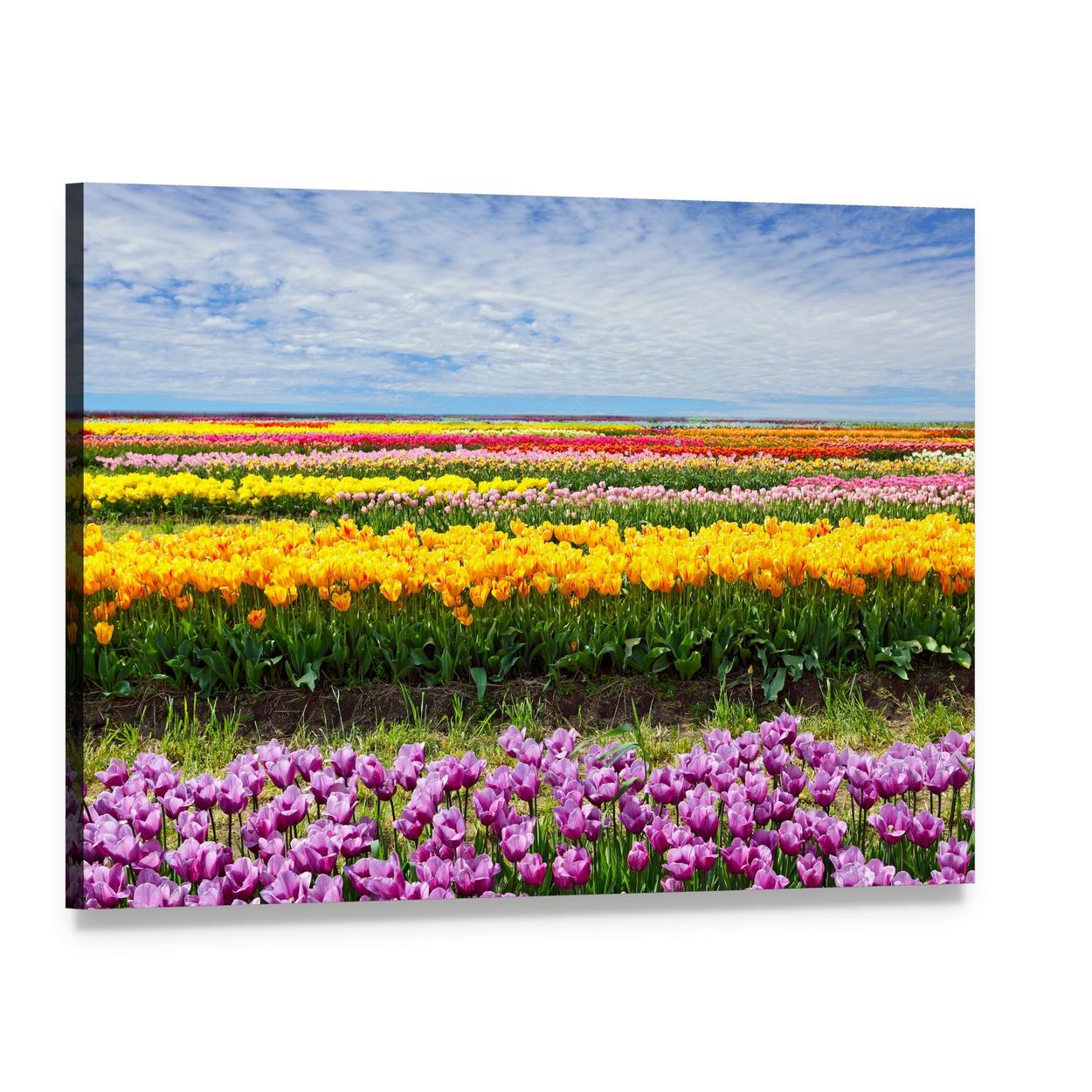 Colorful Tulip Field Canvas Wall Art, single panel gallery wrapped canvas, angled product view