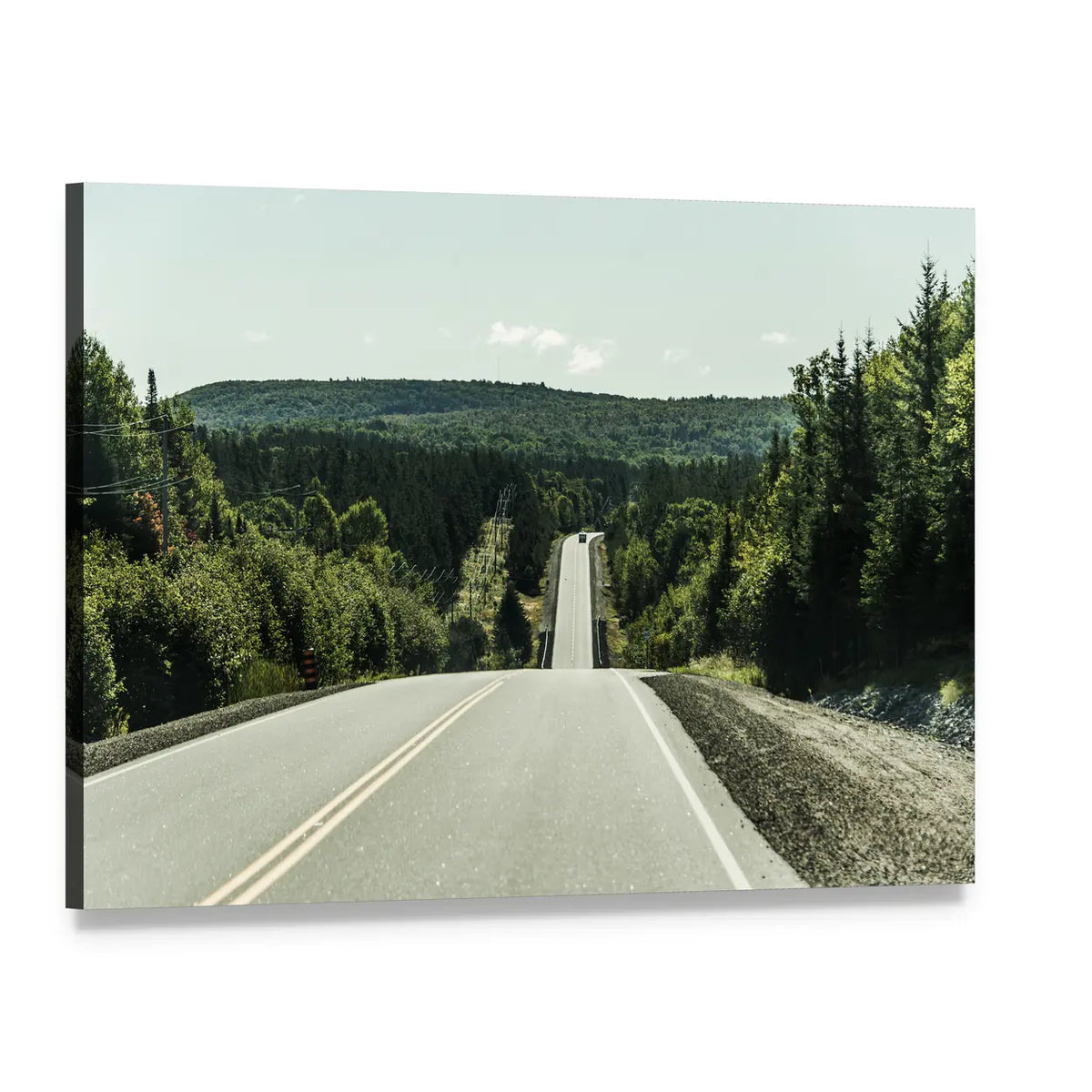 Road Through Algonquin Provincial Park Canvas Wall Art, single panel gallery wrapped canvas, angled product view