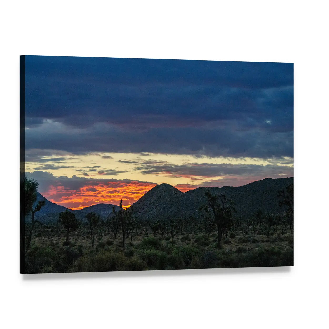 Joshua Trees at Sunset Over Mountains Canvas Wall Art, single panel gallery wrapped canvas, angled product view