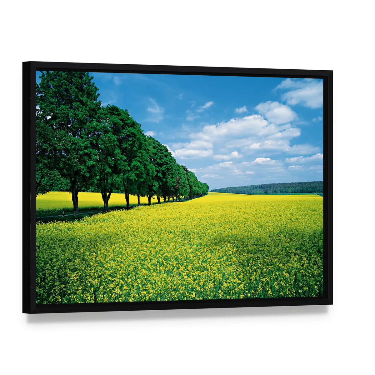 Spring Fields And Allee In Summer Canvas Wall Art, framed canvas in a black floater frame, angled product view