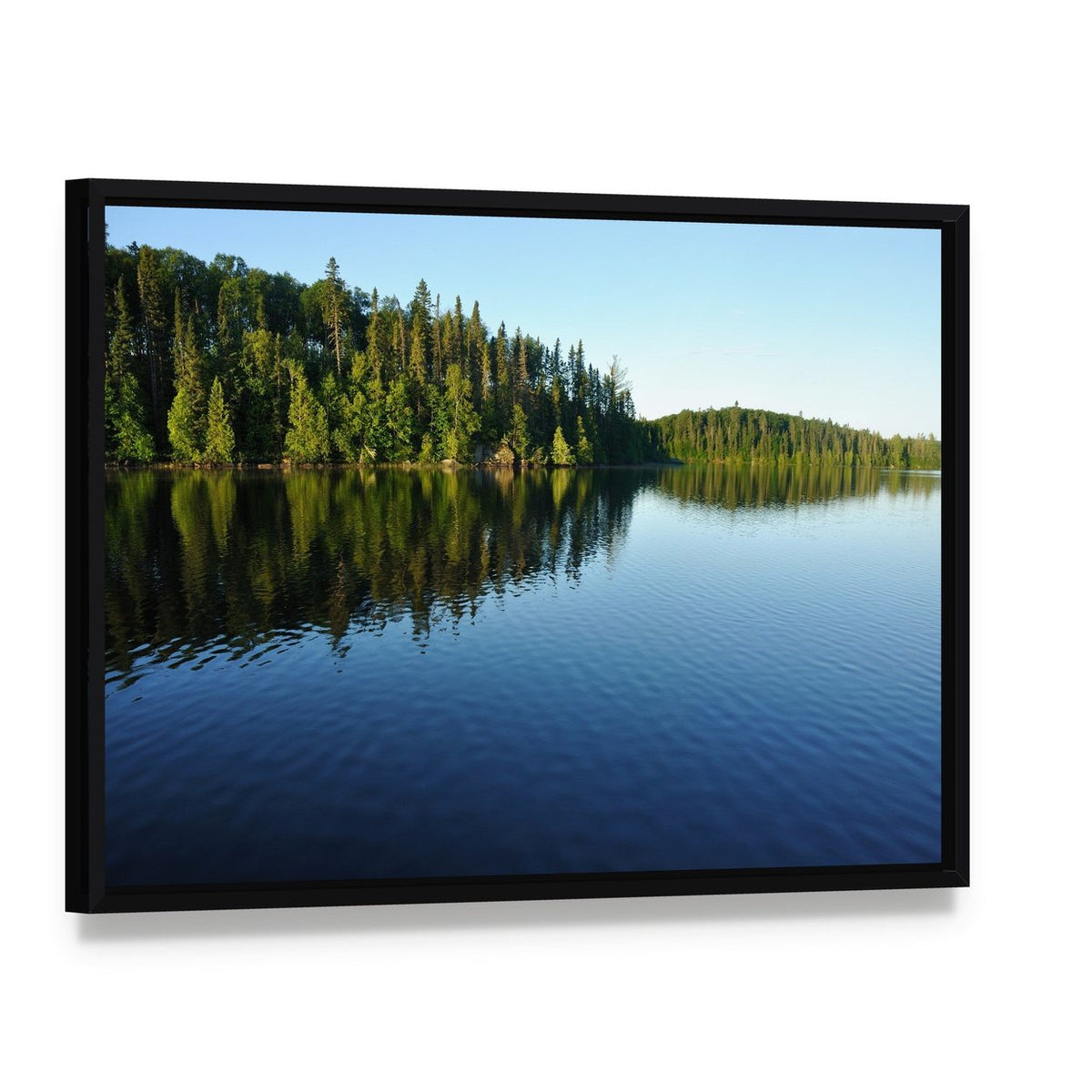 Reflections on a Coniferous Forest Lake Canvas Wall Art, framed canvas in a black floater frame, angled product view