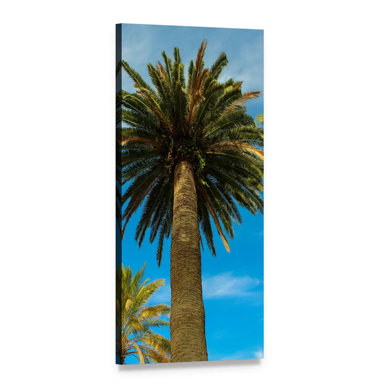 Tropical Palm Tree in Summer Vertical Canvas Wall Art, 1 panel 1 Vertical layout gallery wrapped canvas set, angled product view
