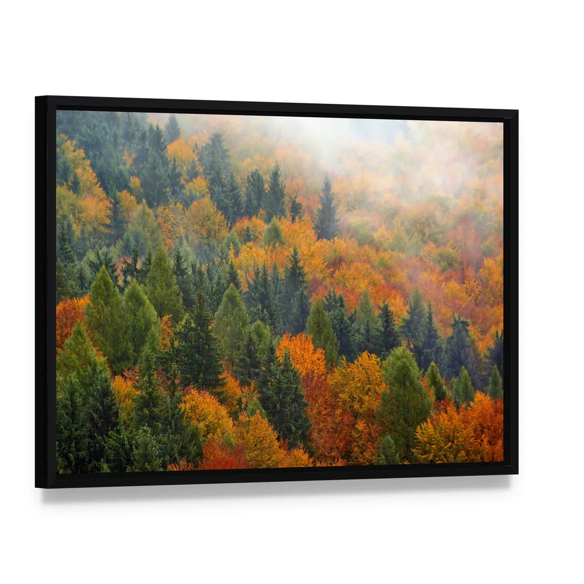 Foggy Autumn Forest In Romania Canvas Wall Art, framed canvas in a black floater frame, angled product view
