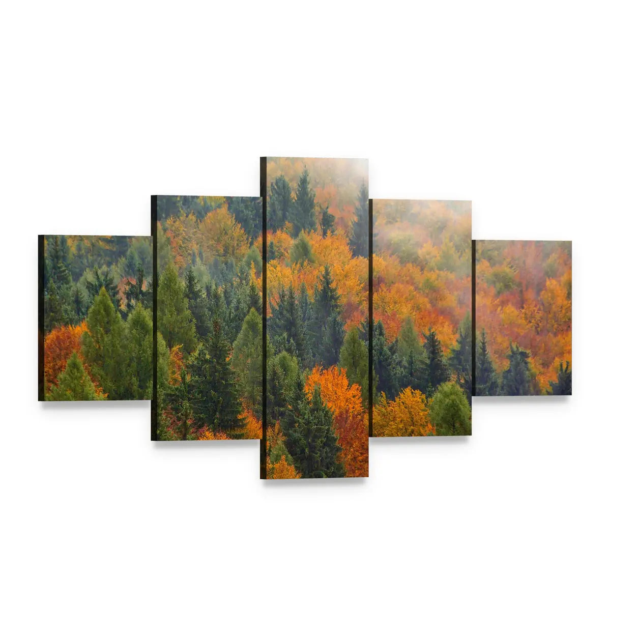 Foggy Autumn Forest In Romania Canvas Wall Art, 5 panel 5 Star layout gallery wrapped canvas set, angled product view
