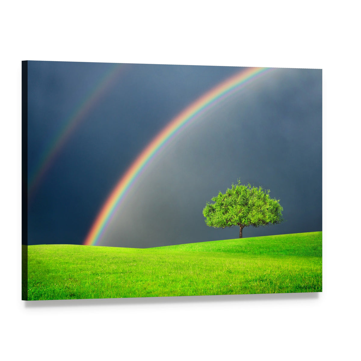 Green Field Tree and Rainbow Canvas Wall Art, single panel gallery wrapped canvas, angled product view