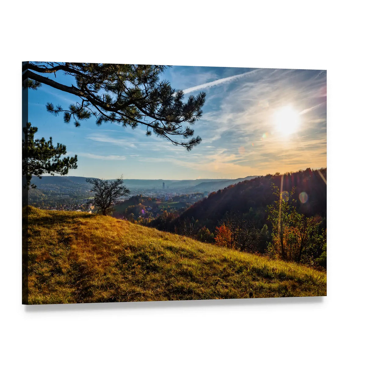 Jena on the Saale at Golden Hour Canvas Wall Art, single panel gallery wrapped canvas, angled product view