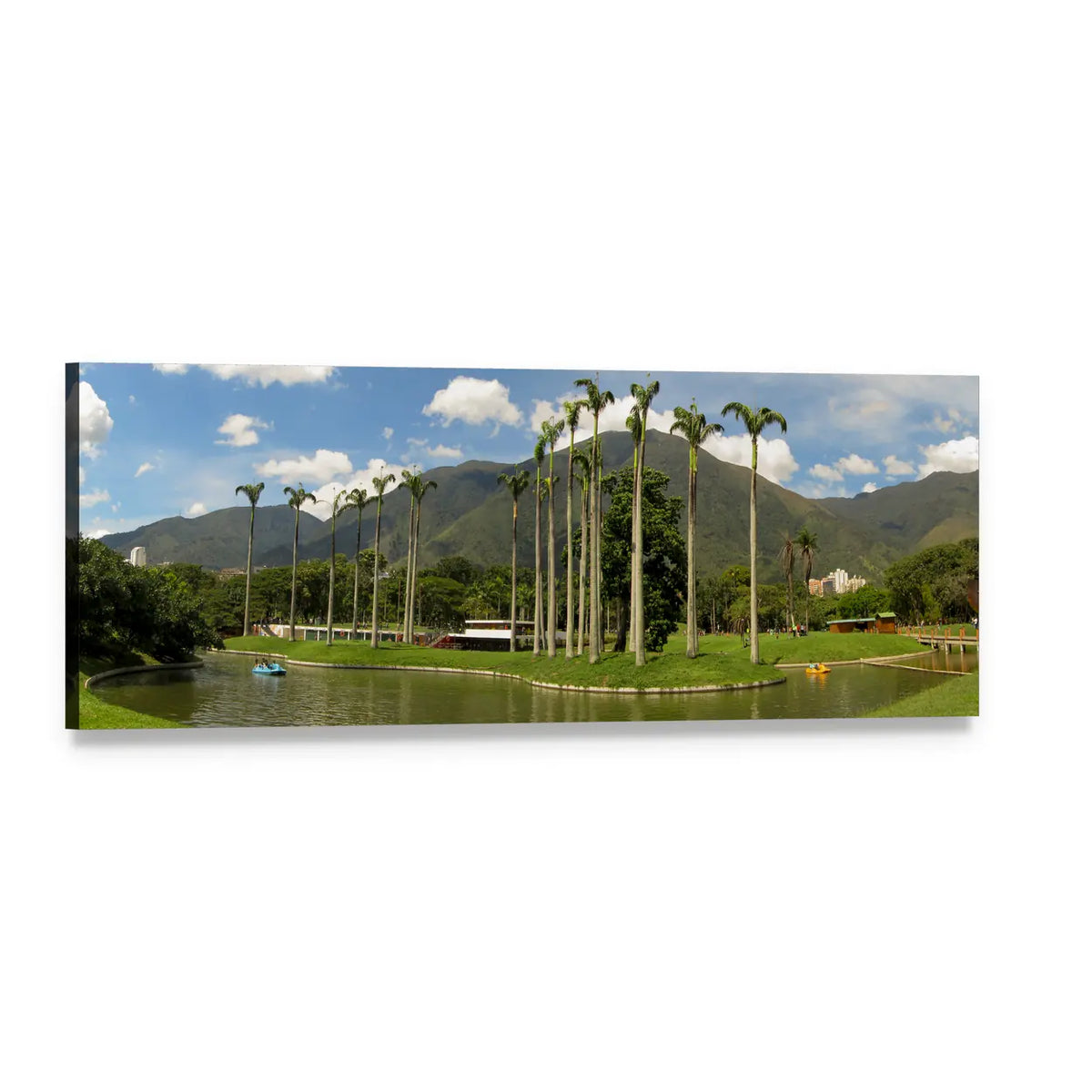 East Park Lake with Palm Trees Panoramic Canvas Wall Art, single panel gallery wrapped canvas, angled product view