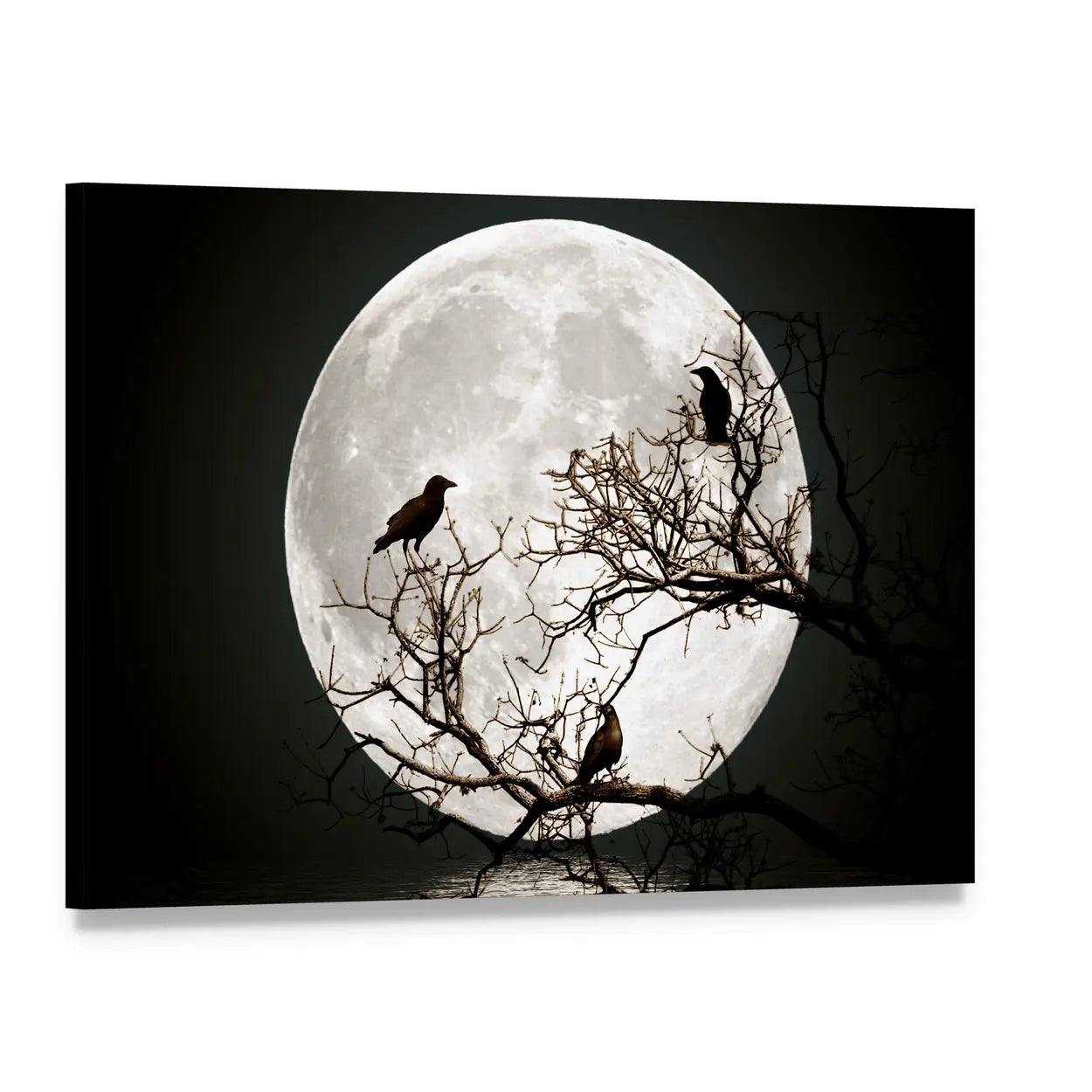 Ravens on Silhouetted Tree Under Full Moon Canvas Wall Art, single panel gallery wrapped canvas, angled product view