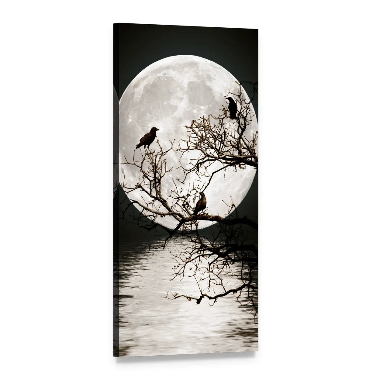 Ravens on Tree with Full Moon Vertical Canvas Wall Art, 1 panel 1 Vertical layout gallery wrapped canvas set, angled product view