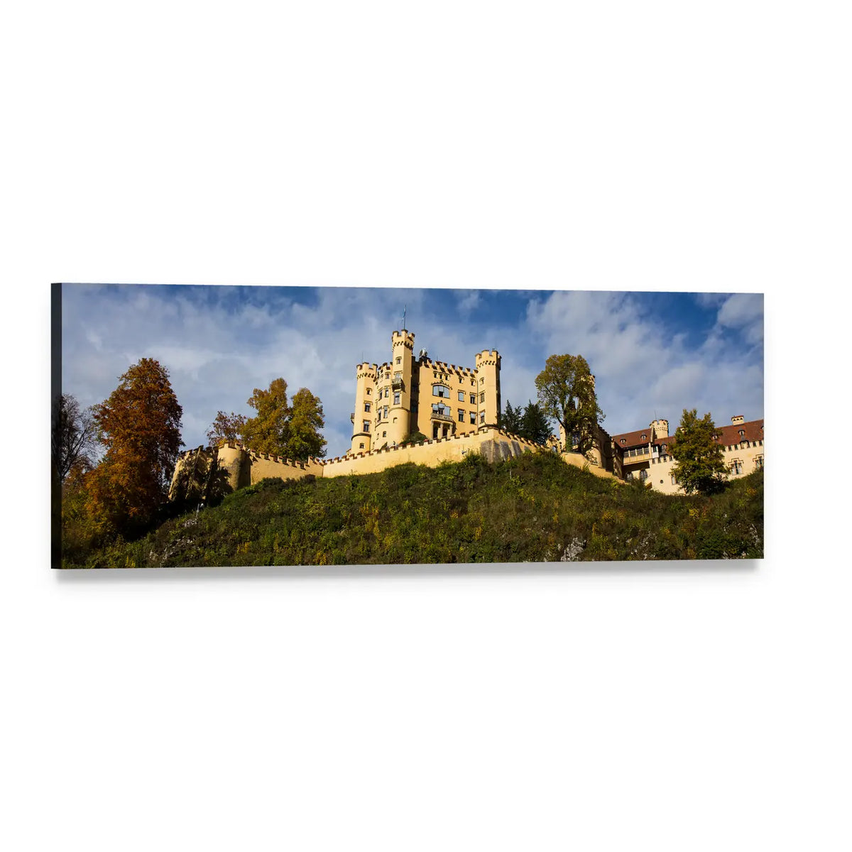 Hohenschwangau Castle on Green Hill Panoramic Canvas Wall Art, single panel gallery wrapped canvas, angled product view