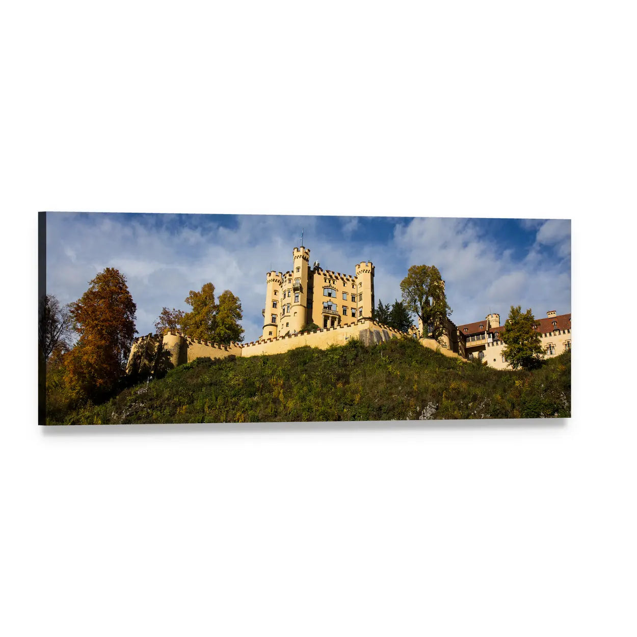 Hohenschwangau Castle on Green Hill Panoramic Canvas Wall Art, single panel gallery wrapped canvas, angled product view