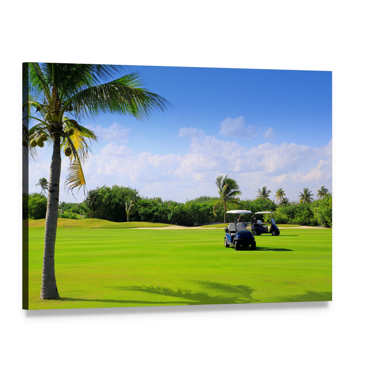Golf Course in Mexico Canvas Wall Art, single panel gallery wrapped canvas, angled product view