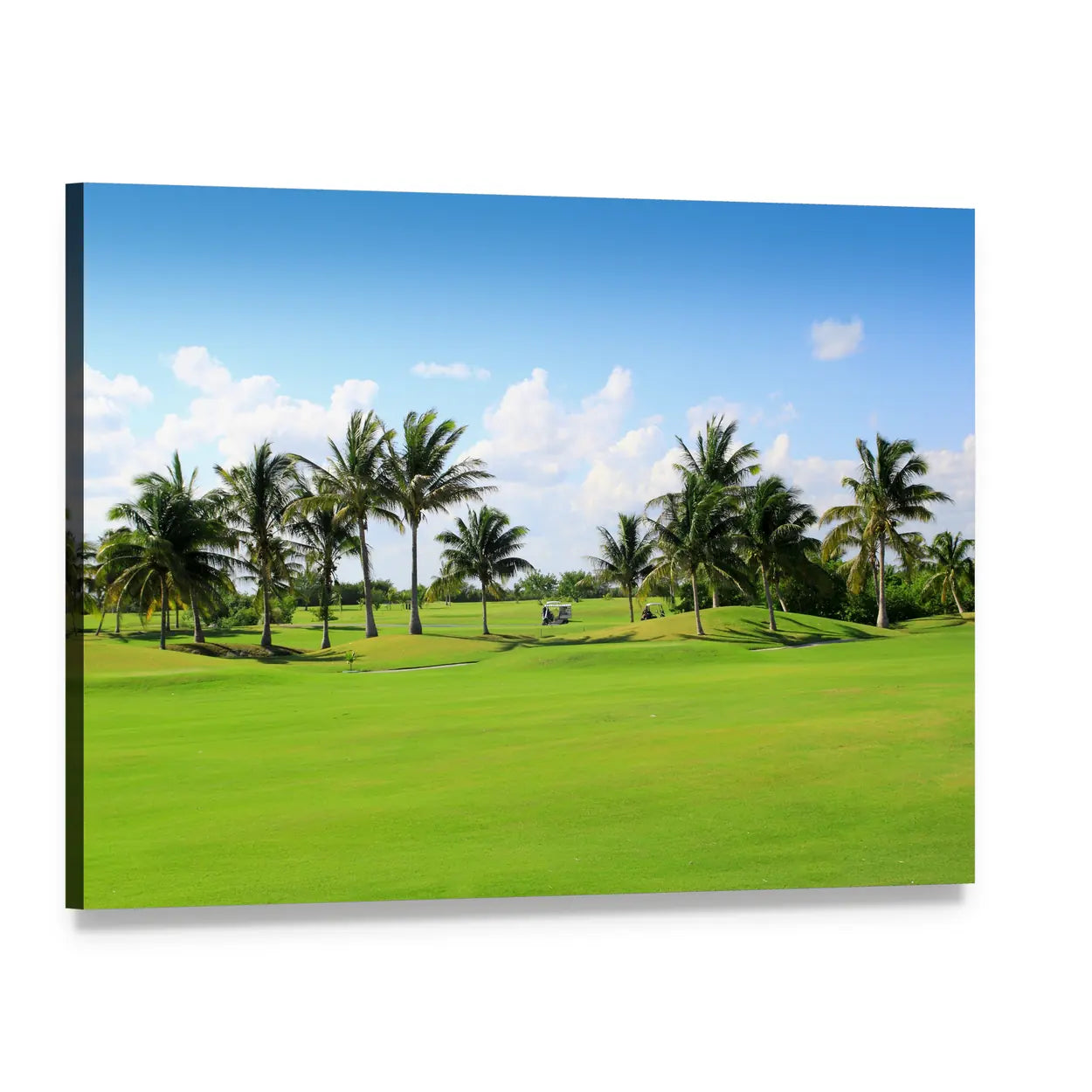 Golf Course in Mexico Canvas Wall Art, single panel gallery wrapped canvas, angled product view