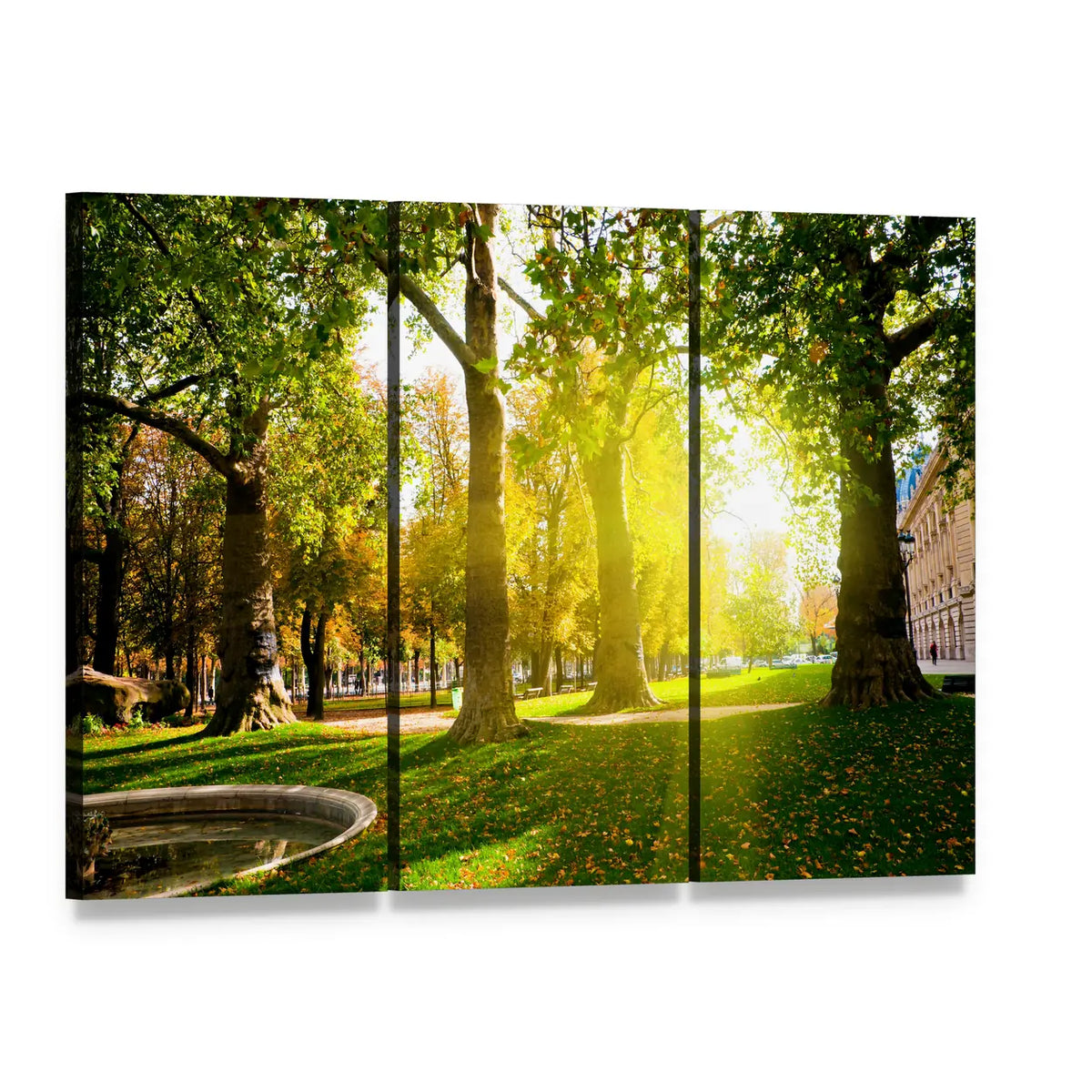 Sun Rays in Green Park Canvas Wall Art, 3 panel 3 Horizontal layout gallery wrapped canvas set, angled product view