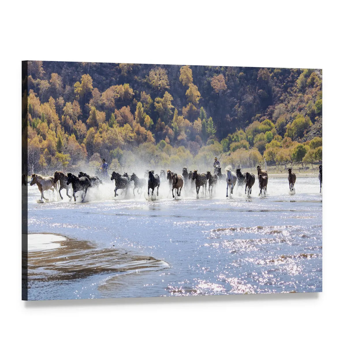Running Horses in Mongolia Canvas Wall Art, single panel gallery wrapped canvas, angled product view