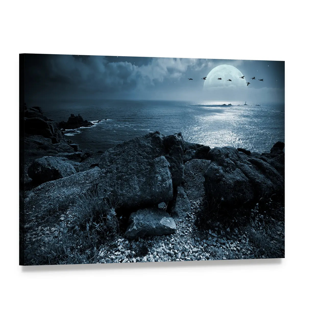 Moonlit Birds Over Rocky Coast Canvas Wall Art, single panel gallery wrapped canvas, angled product view