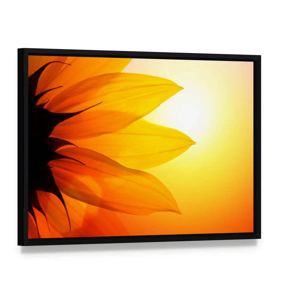 Yellow Sunflower Petals At Sunset Canvas Wall Art, framed canvas in a black floater frame, angled product view