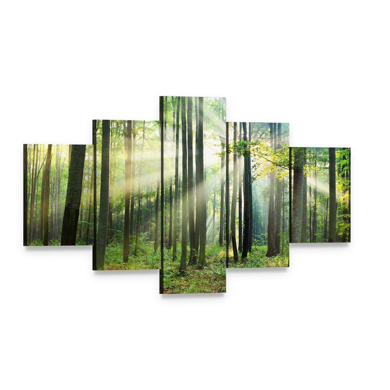 Morning Sunbeams in Forest Canvas Wall Art, 5 panel 5 Star layout gallery wrapped canvas set, angled product view