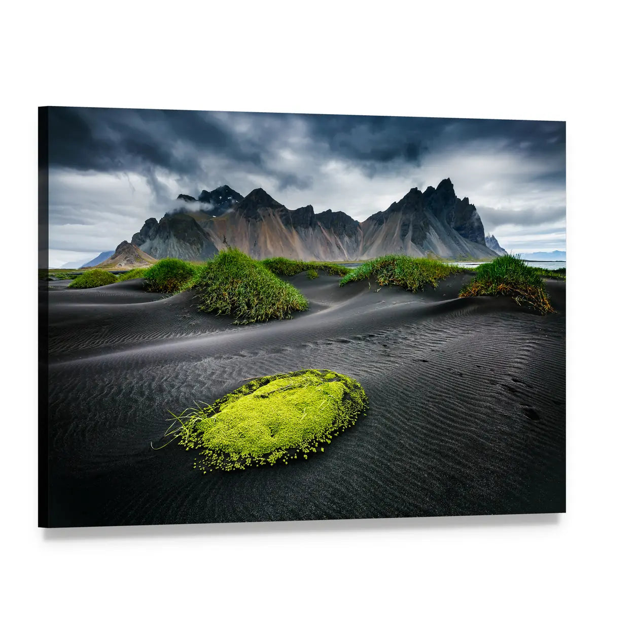Wind-rippled Black Sand Dunes with Green Moss Canvas Wall Art, single panel gallery wrapped canvas, angled product view
