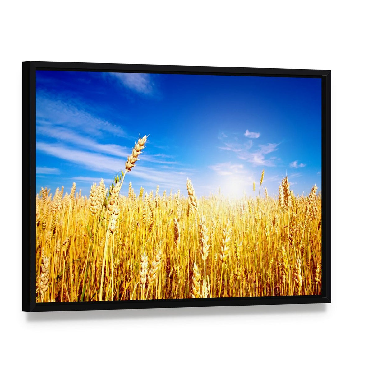 Golden Wheat Field Canvas Wall Art, framed canvas in a black floater frame, angled product view
