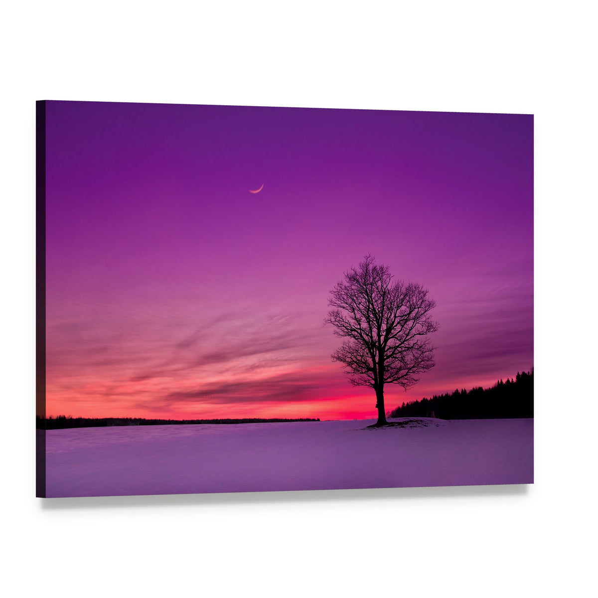 Twilight Field with Crescent Moon Canvas Wall Art, single panel gallery wrapped canvas, angled product view