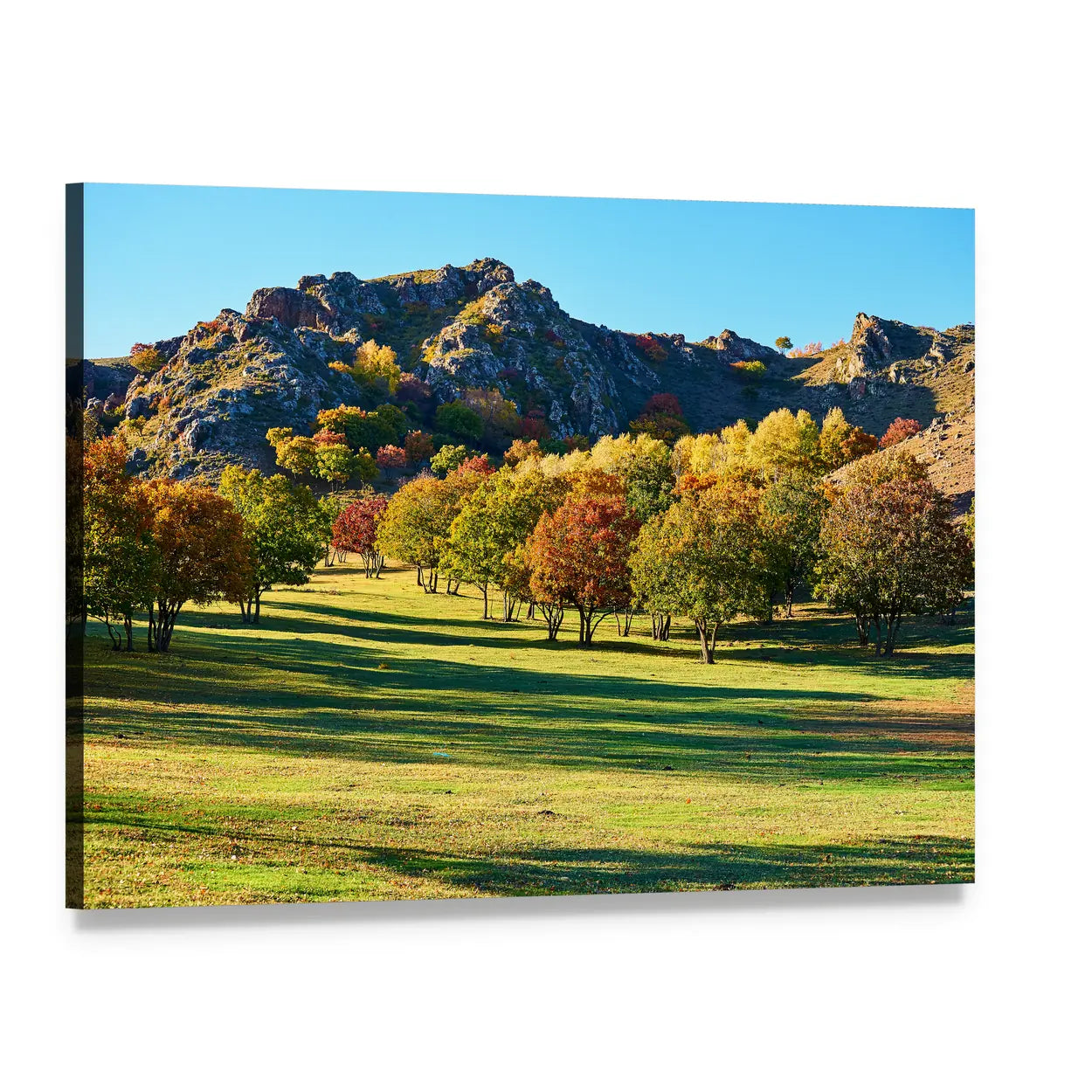 Sunset Over Autumn Steppe Canvas Wall Art, single panel gallery wrapped canvas, angled product view