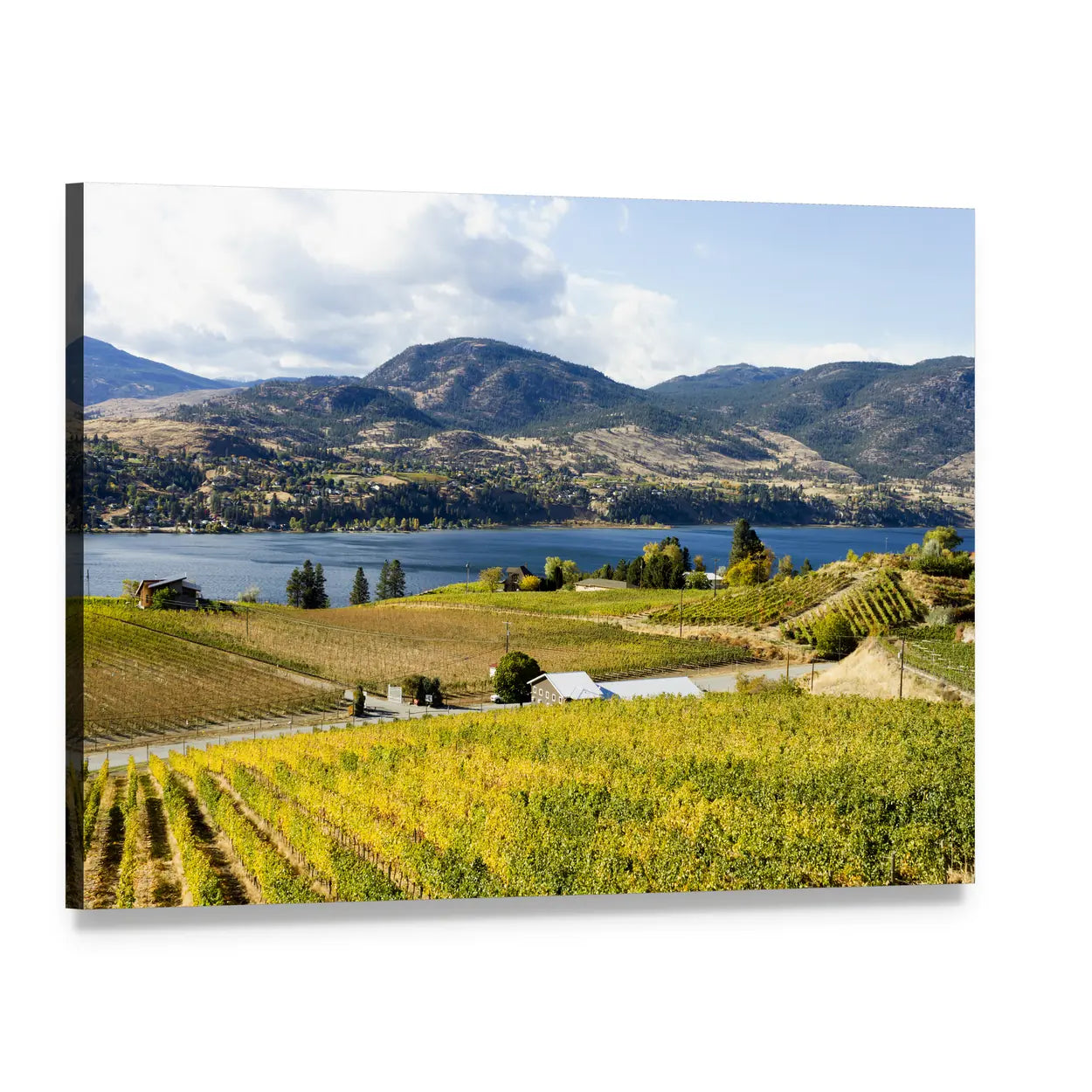 Canadian Vineyard by Lake and Hazy Mountains Canvas Wall Art, single panel gallery wrapped canvas, angled product view