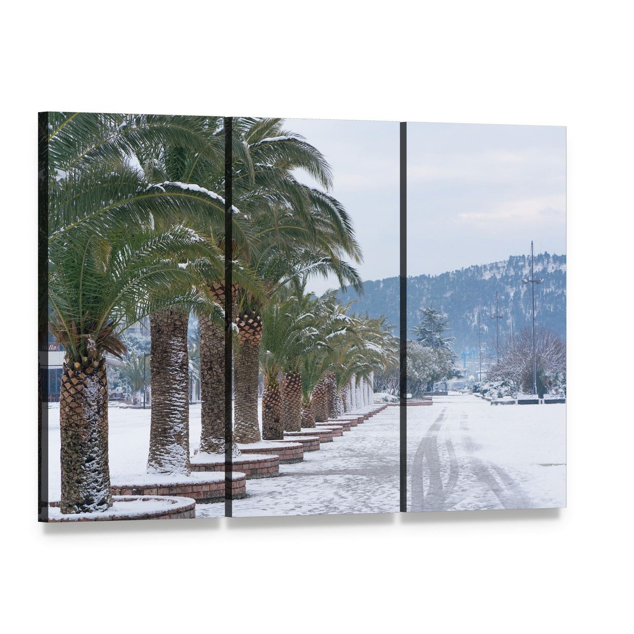 Snow-covered Palm Trees Canvas Wall Art, 3 panel 3 Horizontal layout gallery wrapped canvas set, angled product view