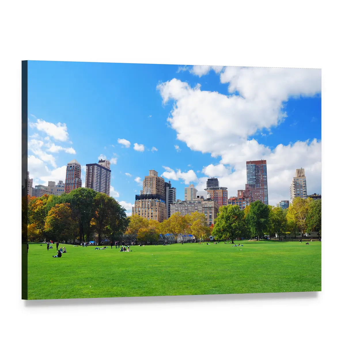 Central Park Manhattan Skyline Canvas Wall Art, single panel gallery wrapped canvas, angled product view