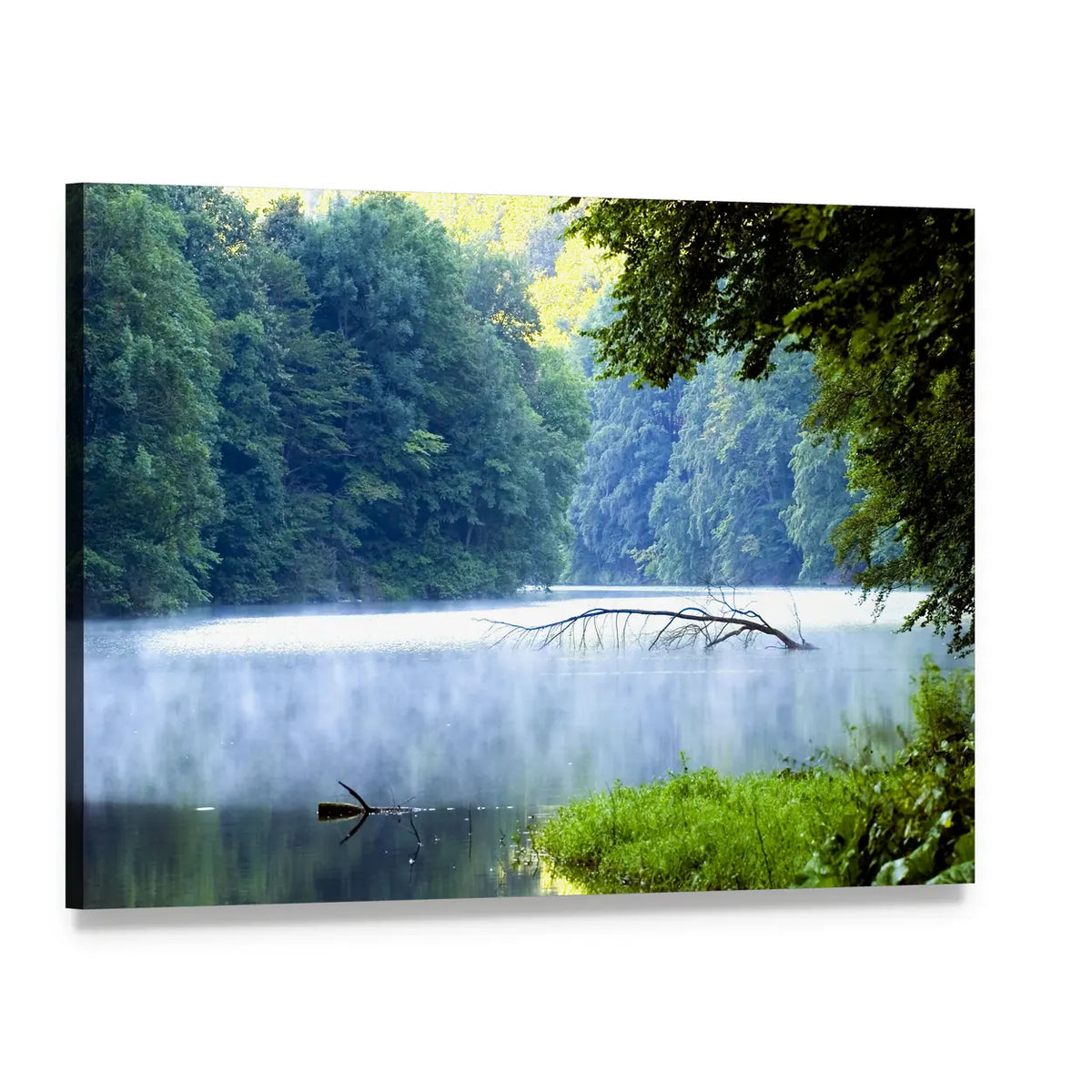 Forest Lake in Morning Mist Canvas Wall Art, single panel gallery wrapped canvas, angled product view