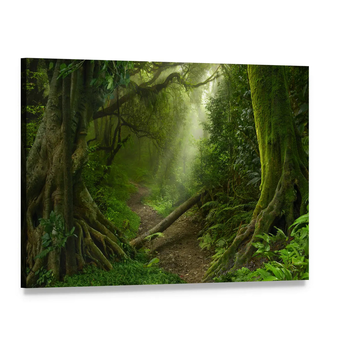 Asian Rain Forest With Sun Rays Canvas Wall Art, single panel gallery wrapped canvas, angled product view