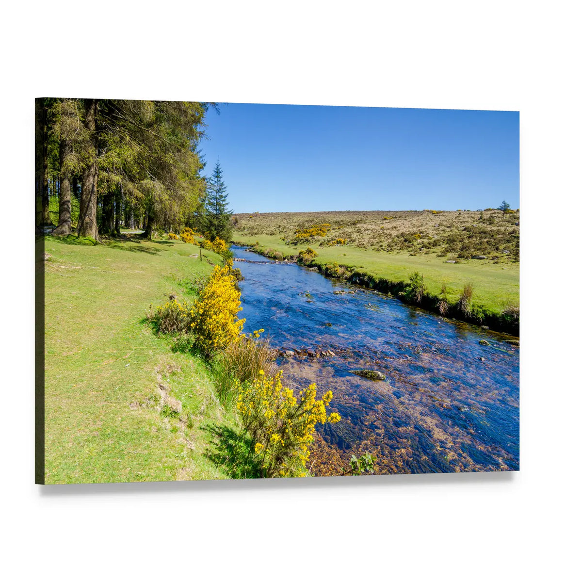 Bellever Forest and Dart River Canvas Wall Art, single panel gallery wrapped canvas, angled product view