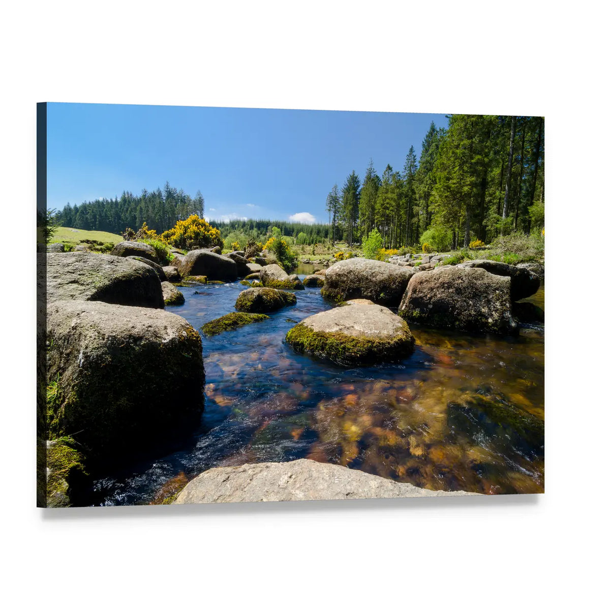 Bellever Forest and Dart River, England Canvas Wall Art, single panel gallery wrapped canvas, angled product view
