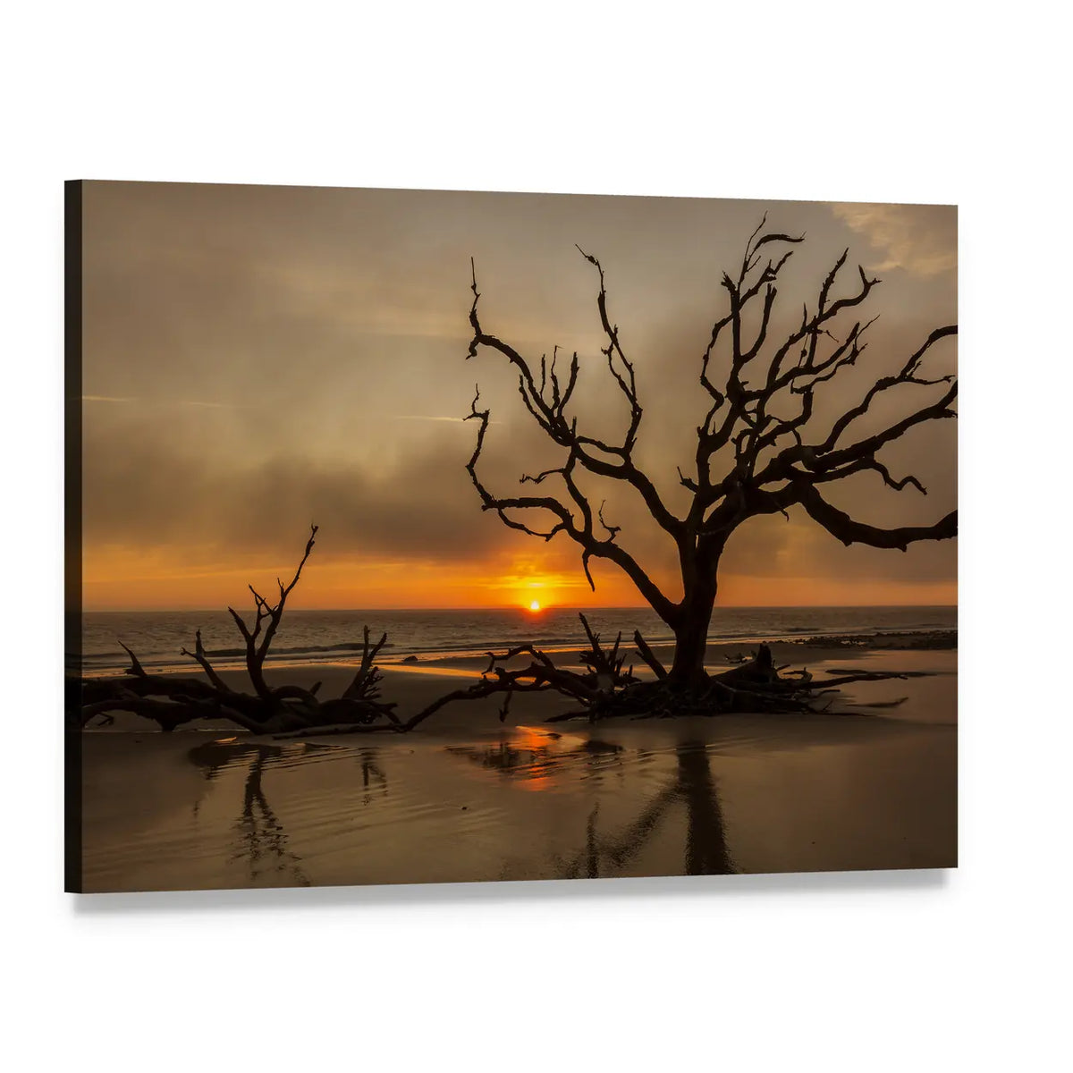 Dead Tree at Sunrise Canvas Wall Art, single panel gallery wrapped canvas, angled product view